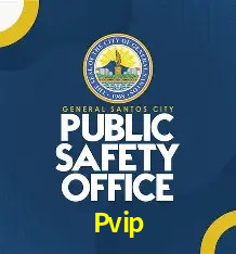 Pvip