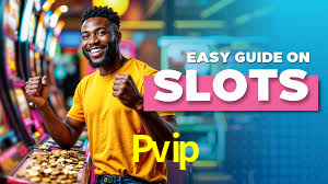 Pvip
